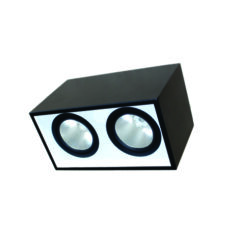 Đèn led Downlight gắn nổi chiếu sâu 2x15W (DFB2151)