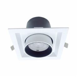 Đèn led Downlight chiếu điểm 30W (DFC1301)