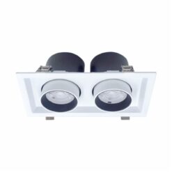 Đèn led Downlight chiếu điểm 2x30W (DFC2301)