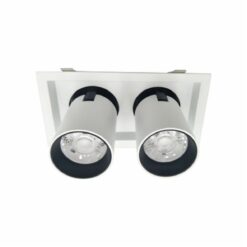 Đèn led Downlight chiếu điểm 2x30W (DFC2302)