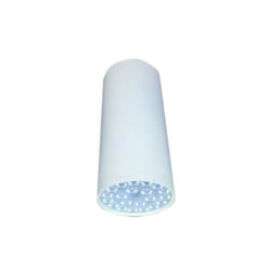 Đèn led chiếu sâu gắn nổi trang trí 21W (DIB1213)