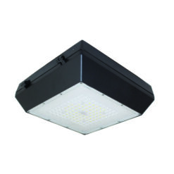 Đèn pha led ốp trần 40W (DRG0401)