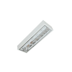 Máng đèn phản quang lắp nổi 1x9W (LDN109)