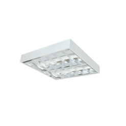 Máng đèn phản quang lắp nổi 2x9W (LDN6209)