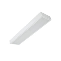 Máng đèn tán quang lắp nổi chụp mica 2x18W (LLN218)